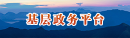 基層政務(wù)平臺